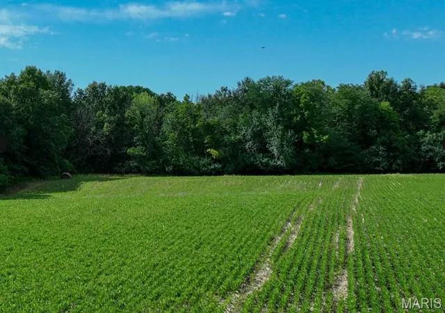 Homes for sale in Alhambra, IL | 0 Silver Creek Rd, Alhambra, IL 62001 | MLS# MIS26039010