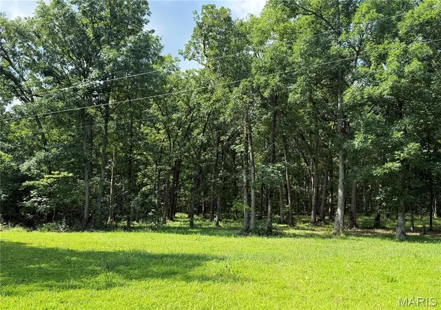Homes for sale in Monroe City, MO | 0 Clinton Pl, Monroe City, MO 63456 | MLS# MIS26039039