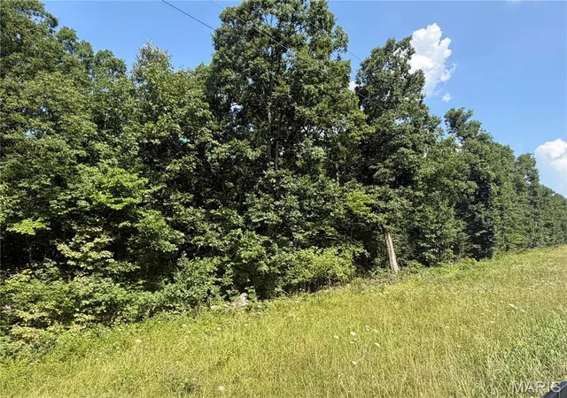 Homes for sale in Monroe City, MO | 0 Clinton Pl, Monroe City, MO 63456 | MLS# MIS26039039