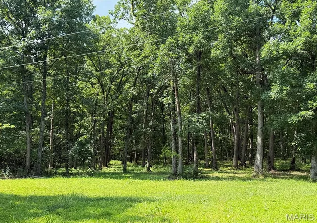 Homes for sale in Monroe City, MO | 0 Clinton Pl, Monroe City, MO 63456 | MLS# MIS26039039