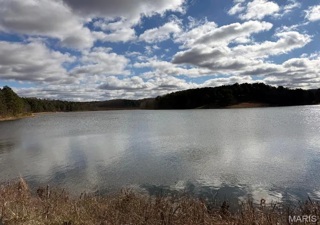 3rd image of 25 Acres, Lowndes, MO 63951 | MLS# MIS26039125