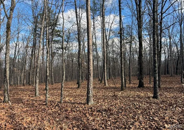 4th image of 25 Acres, Lowndes, MO 63951 | MLS# MIS26039125