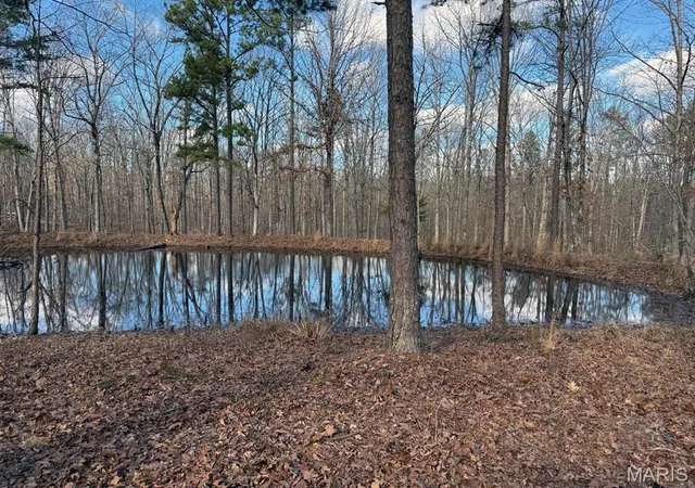 5th image of 25 Acres, Lowndes, MO 63951 | MLS# MIS26039125