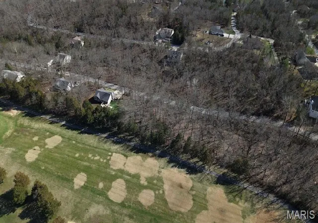 3rd image of 9569 Bent Tree Dr, Hillsboro, MO 63050 | MLS# MIS26039219