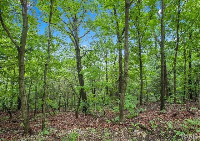 2nd image of 9 Acres Clermont Dr, Festus, MO 63028 | MLS# MIS26039230