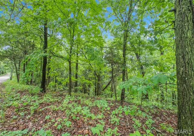 3rd image of 9 Acres Clermont Dr, Festus, MO 63028 | MLS# MIS26039230