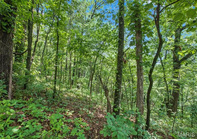 4th image of 9 Acres Clermont Dr, Festus, MO 63028 | MLS# MIS26039230
