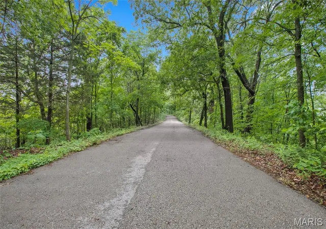 5th image of 9 Acres Clermont Dr, Festus, MO 63028 | MLS# MIS26039230