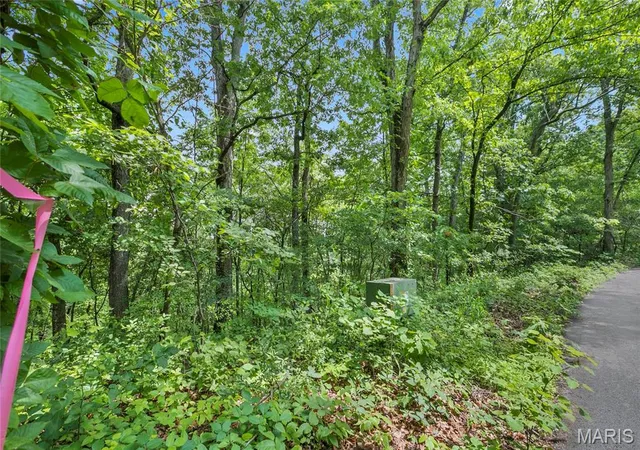 1st image of 85 Acres Clermont Dr, Festus, MO 63028 | MLS# MIS26039232
