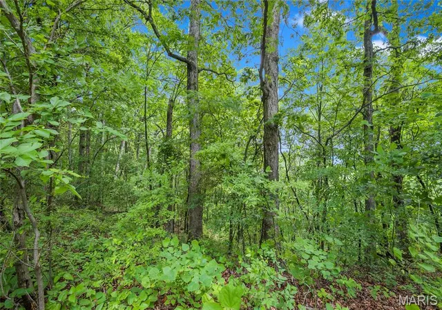 2nd image of 85 Acres Clermont Dr, Festus, MO 63028 | MLS# MIS26039232