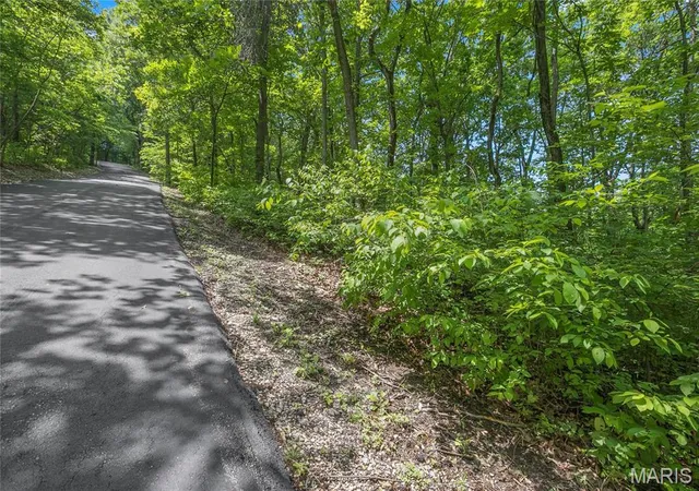 3rd image of 85 Acres Clermont Dr, Festus, MO 63028 | MLS# MIS26039232