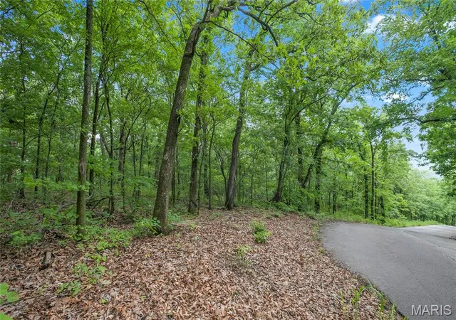 2nd image of 941 Acres Clermont Dr, Festus, MO 63028 | MLS# MIS26039239