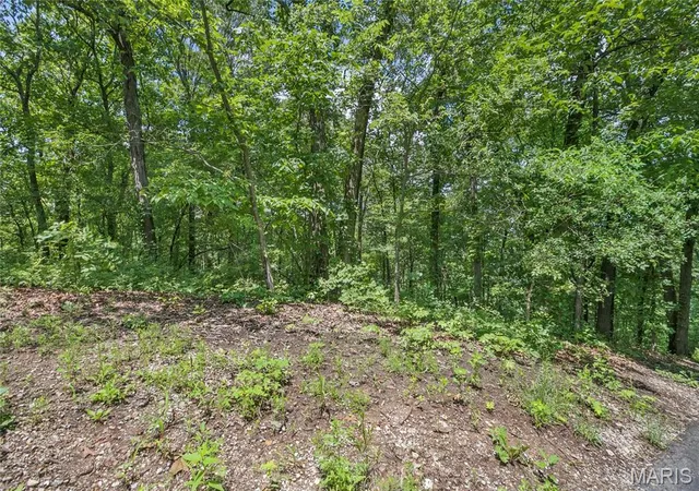3rd image of 941 Acres Clermont Dr, Festus, MO 63028 | MLS# MIS26039239