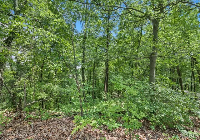 4th image of 941 Acres Clermont Dr, Festus, MO 63028 | MLS# MIS26039239