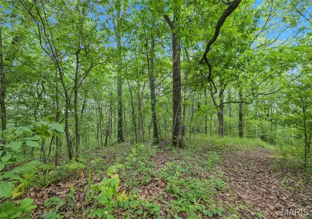 5th image of 941 Acres Clermont Dr, Festus, MO 63028 | MLS# MIS26039239