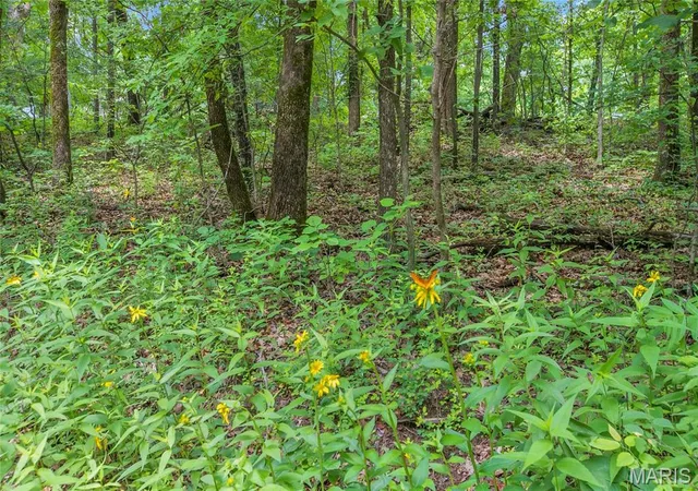 2nd image of 626 Acres Mississippi Queen Ct, Festus, MO 63028 | MLS# MIS26039245