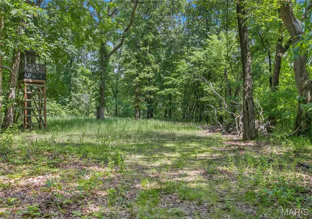 3rd image of 626 Acres Mississippi Queen Ct, Festus, MO 63028 | MLS# MIS26039245