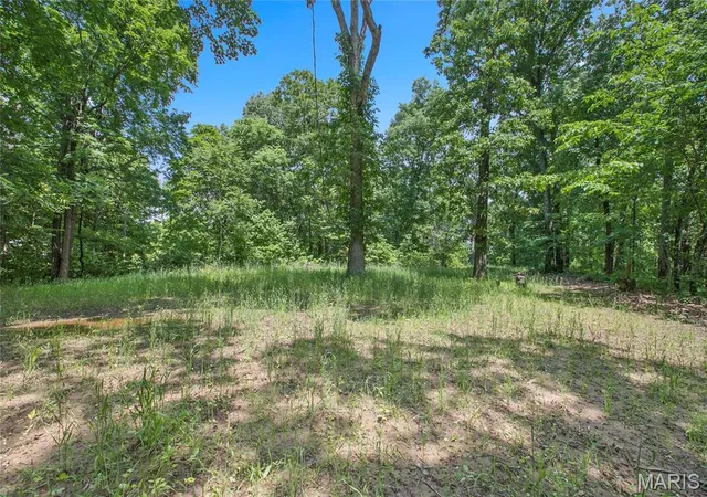 4th image of 626 Acres Mississippi Queen Ct, Festus, MO 63028 | MLS# MIS26039245