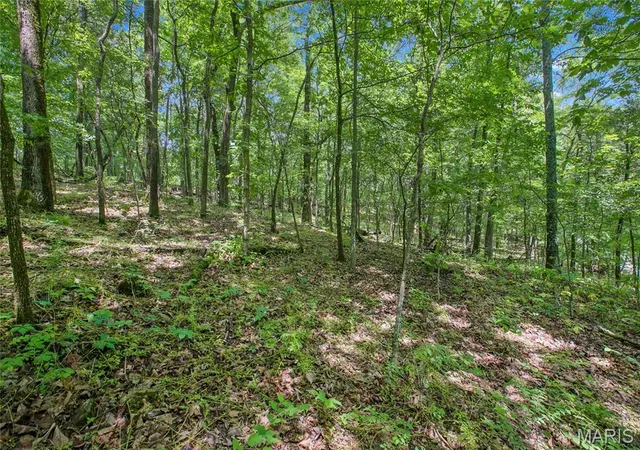 5th image of 626 Acres Mississippi Queen Ct, Festus, MO 63028 | MLS# MIS26039245