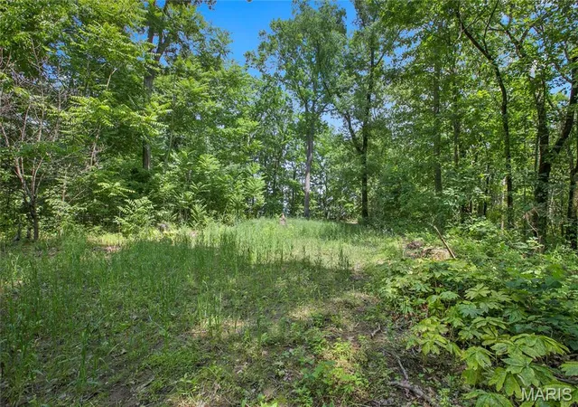 1st image of 875 Acres Mississippi Queen Ct, Festus, MO 63028 | MLS# MIS26039248