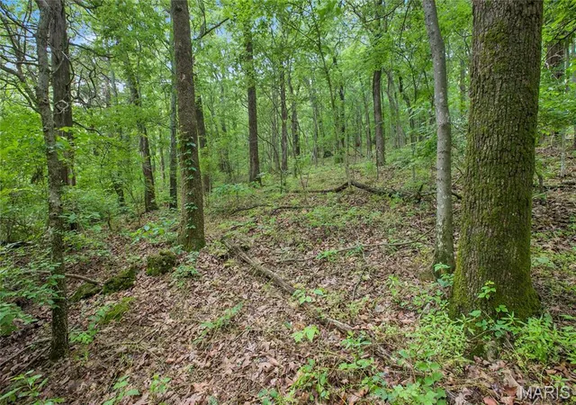 2nd image of 875 Acres Mississippi Queen Ct, Festus, MO 63028 | MLS# MIS26039248