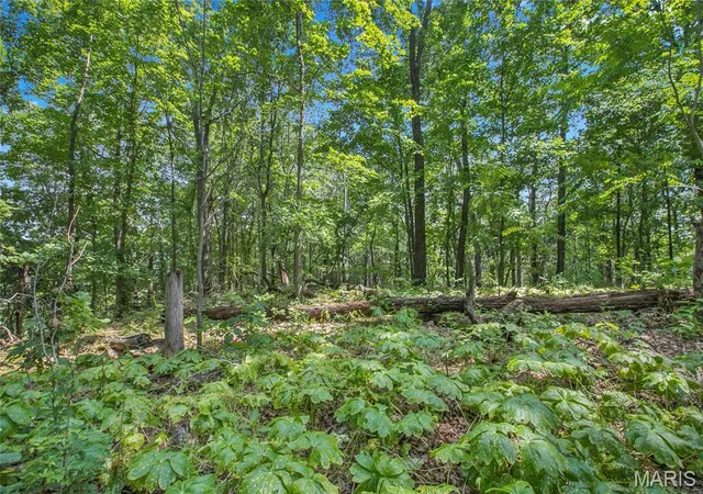 3rd image of 875 Acres Mississippi Queen Ct, Festus, MO 63028 | MLS# MIS26039248