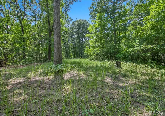 4th image of 875 Acres Mississippi Queen Ct, Festus, MO 63028 | MLS# MIS26039248