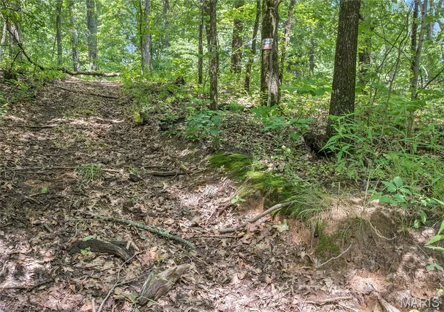 5th image of 875 Acres Mississippi Queen Ct, Festus, MO 63028 | MLS# MIS26039248
