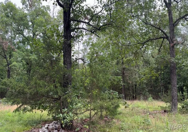 26th image of 24315 E Hwy 32, Lebanon, MO 65536 | MLS# MIS26039292