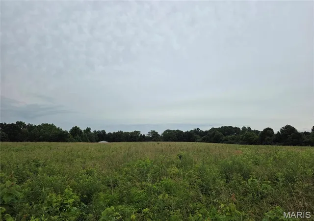 Photo 1 of Land for sale at 14601 E Loyola, Mount Vernon, IL 62864 | MLS# MIS26039312 | Listing updated on 2026-08-21