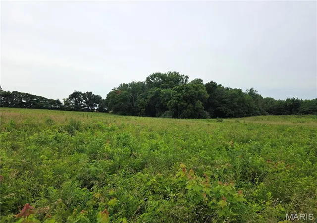 Photo 2 of Land for sale at 14601 E Loyola, Mount Vernon, IL 62864 | MLS# MIS26039312 | Listing updated on 2026-08-21