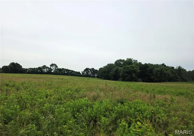 Photo 2 of Land for sale at 14601 E Loyola, Mount Vernon, IL 62864 | MLS# MIS26039312 | Listing updated on 2026-08-21