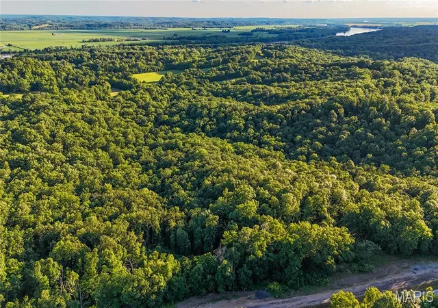 Homes for sale in Portland, MO | 00 State Road 94, Portland, MO 65251 | MLS# MIS26039331
