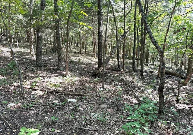 3rd image of 4567 Thunder Ridge Rd, Wildwood, MO 63025 | MLS# MIS26039372