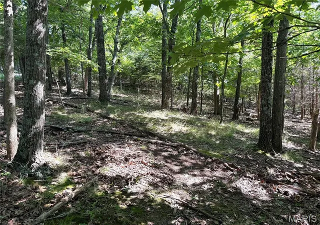4th image of 4567 Thunder Ridge Rd, Wildwood, MO 63025 | MLS# MIS26039372