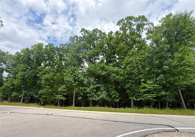 Homes for sale in Four Seasons, MO | Tbd Cornett Branch Rd, Four Seasons, MO 65049 | MLS# MIS26039432