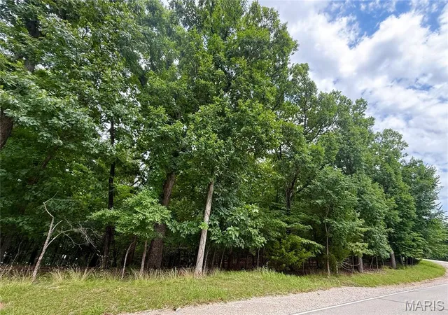 Homes for sale in Four Seasons, MO | Tbd Cornett Branch Rd, Four Seasons, MO 65049 | MLS# MIS26039432