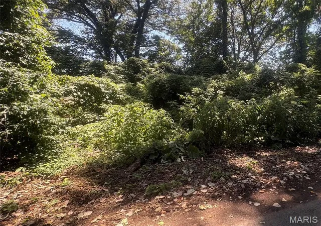1st image of Lot 10 S Side International, Poplar Bluff, MO 63901 | MLS# MIS26039468