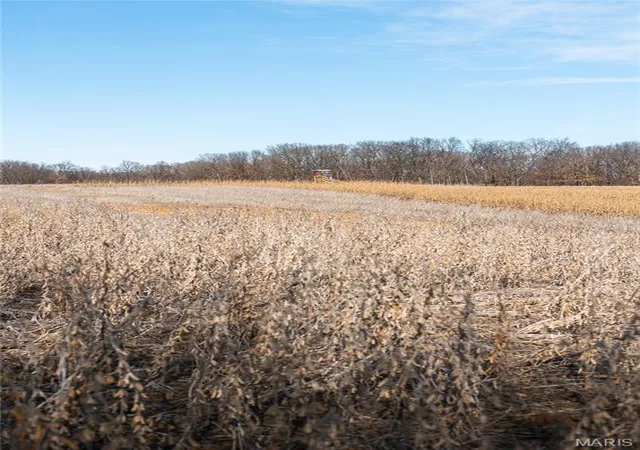 Homes for sale in Greencastle, MO | 00 Tbd Jubilee, Greencastle, MO 63545 | MLS# MIS26039505