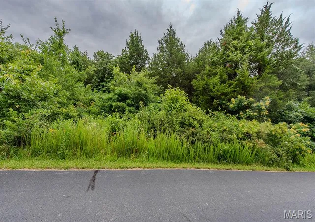 Homes for sale in St Clair, MO | 518 Winding Woods Ct, St Clair, MO 63077 | MLS# MIS26039540