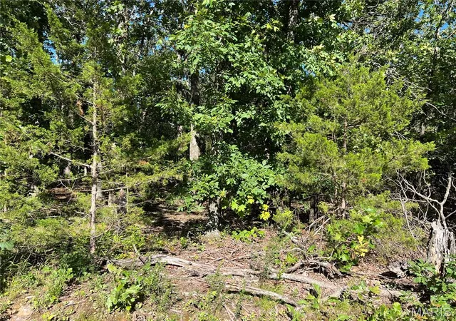 Photo 3 of Land for sale at 21210 Neal Dr, Lebanon, MO 65536 | MLS# MIS26039555 | Listing updated on 2026-06-22