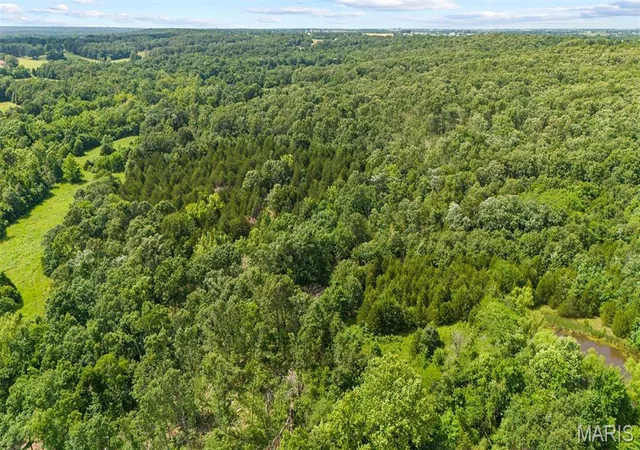 6th image of 00 Whitetail Ln, Barnette, MO 65011 | MLS# MIS26039623