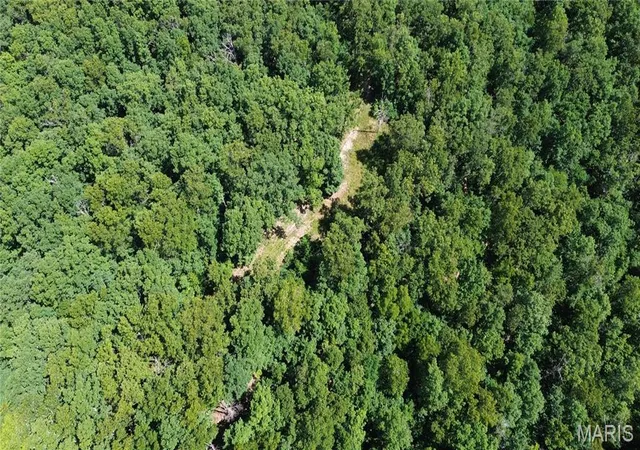 1st image of Tbd Tbd, Salem, MO 65560 | MLS# MIS26039764