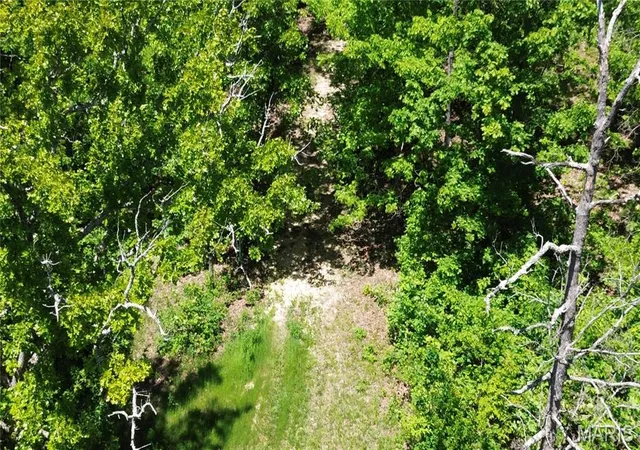 4th image of Tbd Tbd, Salem, MO 65560 | MLS# MIS26039764