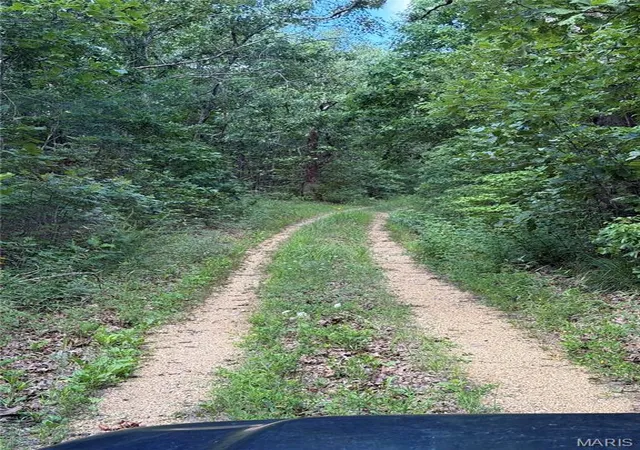 5th image of Tbd Tbd, Salem, MO 65560 | MLS# MIS26039764