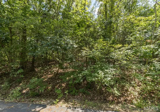 5th image of Lot 11B Southwoods Dr, Festus, MO 63028 | MLS# MIS26039828