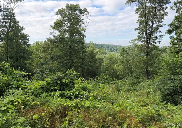 Homes for sale in Piedmont, MO | Cr 453 Lots 393,394,395,396 & 729,730,731, Piedmont, MO 63957 | MLS# MIS26039949