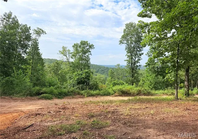 1st image of Cr 453 Lots 393,394,395,396 & 729,730,731, Piedmont, MO 63957 | MLS# MIS26039949