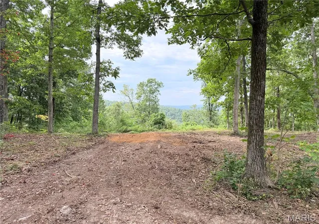 2nd image of Cr 453 Lots 393,394,395,396 & 729,730,731, Piedmont, MO 63957 | MLS# MIS26039949