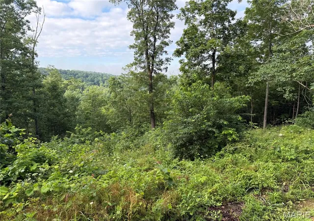 Homes for sale in Piedmont, MO | Cr 453 Lots 393,394,395,396 & 729,730,731, Piedmont, MO 63957 | MLS# MIS26039949